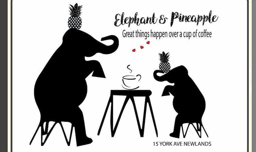 Elephant & Pineapple